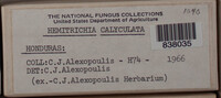 Image Associated With the Occurence